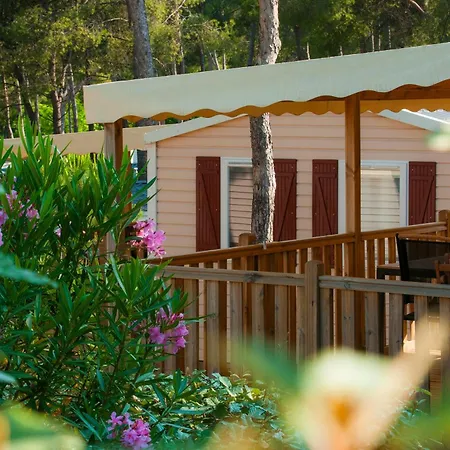 Les Dauphins Camping Les Lecques