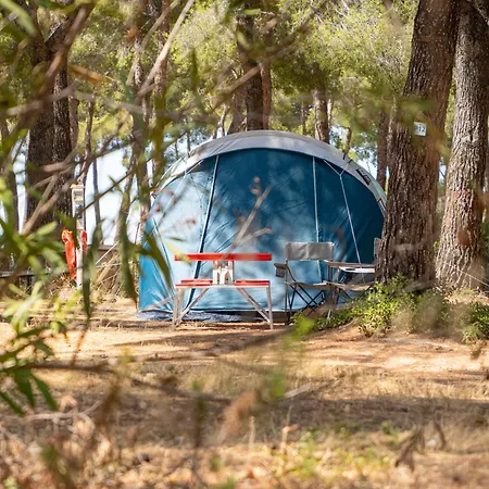 Les Dauphins Camping Les Lecques